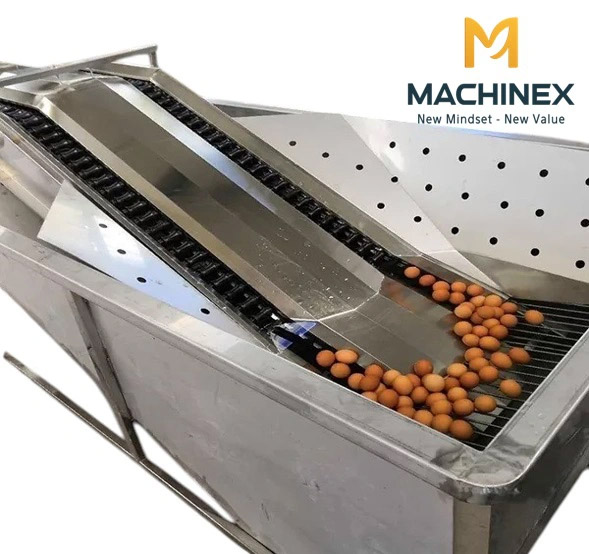 dây chuyền rửa và phân loại trứng gà