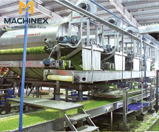 Quy trình sản xuất an toàn, sạch