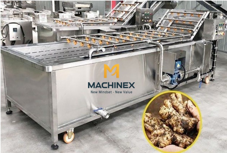 Máy rửa gừng quy mô công nghiệp