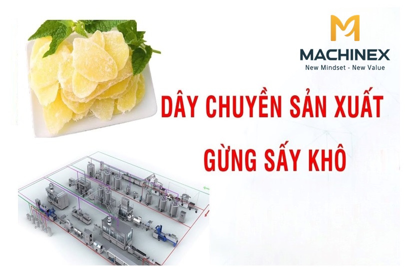 Dây chuyền sấy gừng hiện đại