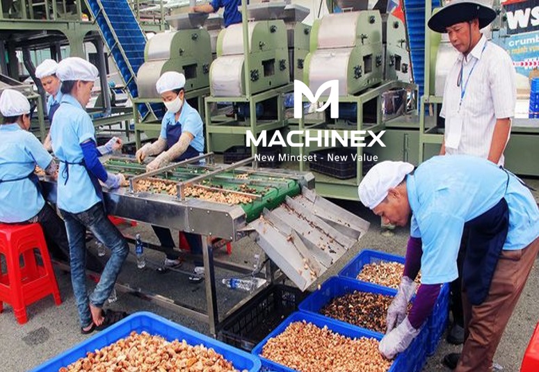 Dây chuyền sấy tẩm hạt điều