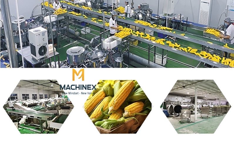 Dây chuyền sản xuất sữa bắp hiện đại