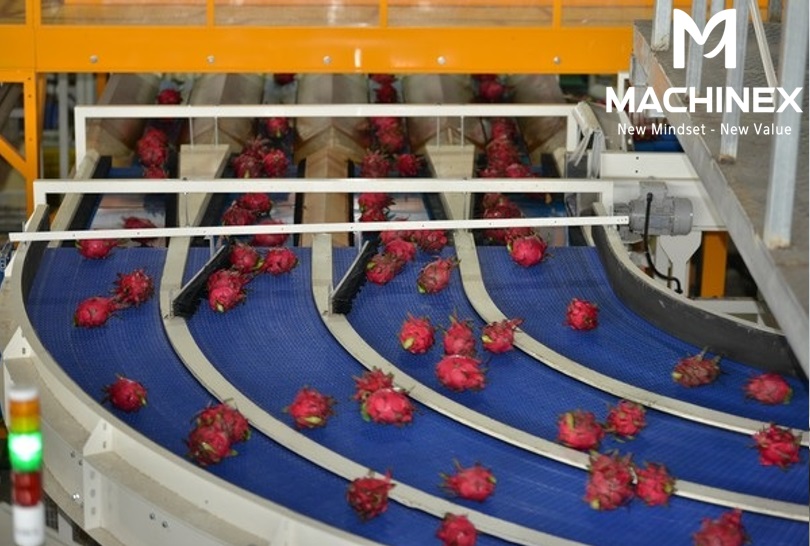 Hệ thống chế biến tự động