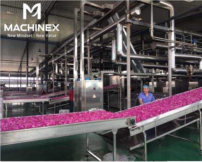 Quy trình sấy khép kín