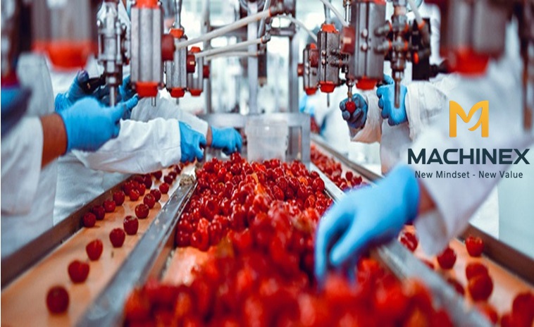 Dây chuyền sấy lạnh trái cây