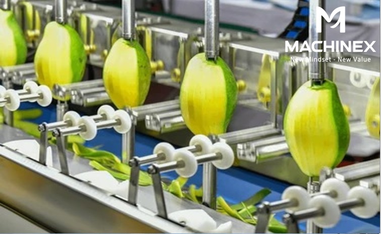 Bảo toàn dinh dưỡng tối đa