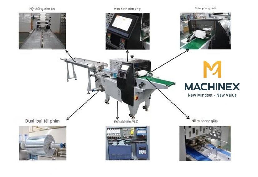 dây chuyền sản xuất vải thiều công nghiệp