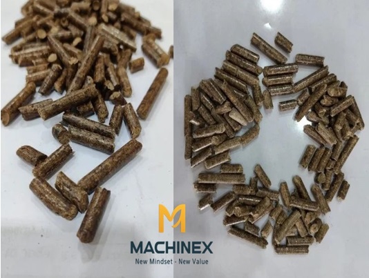 Thiết bị ép viên công nghiệp