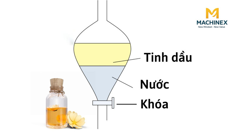 Giải mã hiện tượng tinh dầu gừng phân tách lớp