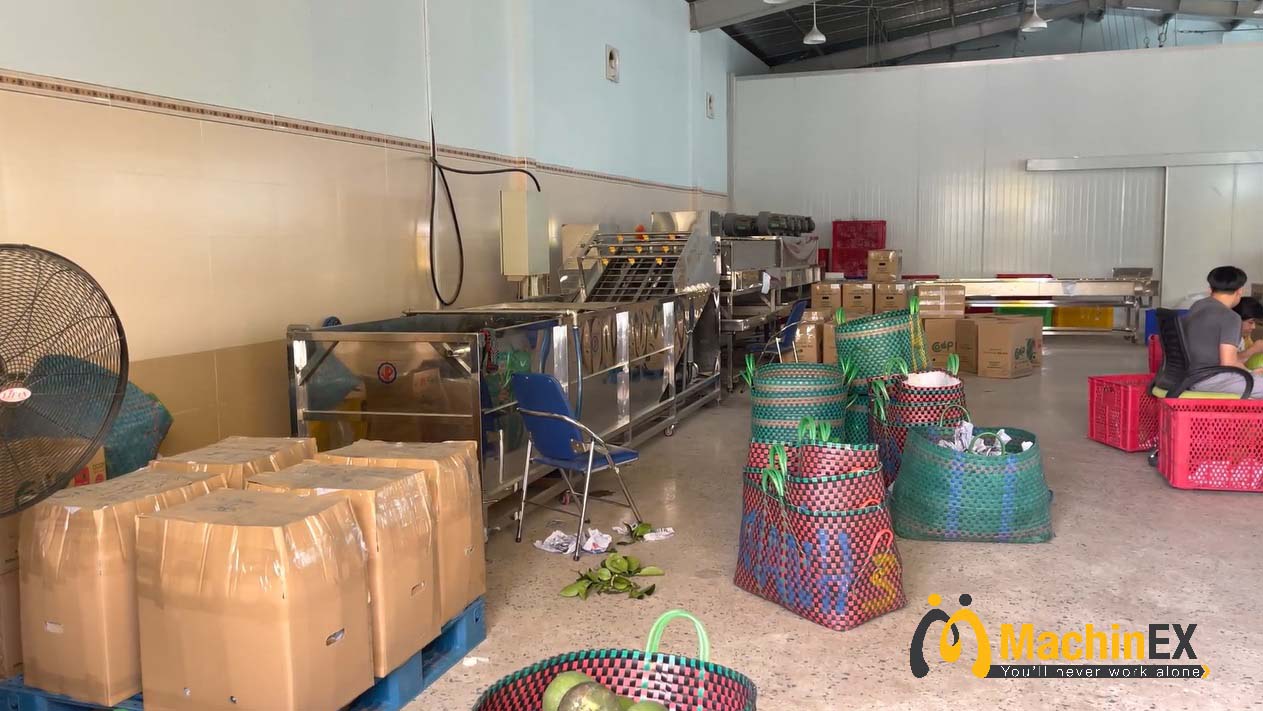 hệ máy rửa trái cây đa năng