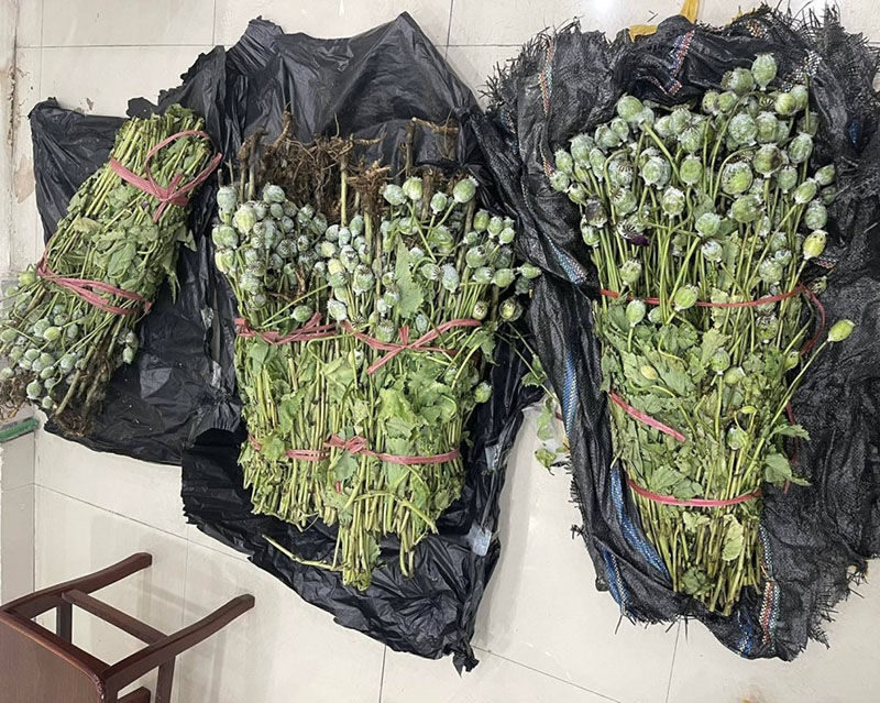 rượu hoa anh túc