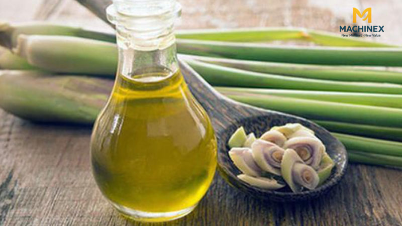 Hướng dẫn chưng cất tinh dầu sả tại nhà