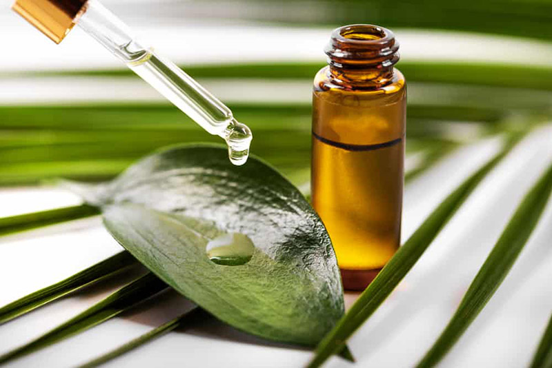 lưu ý khi dùng tinh dầu tràm