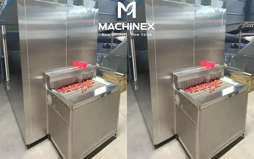 Thiết bị cấp đông nhanh trái cây