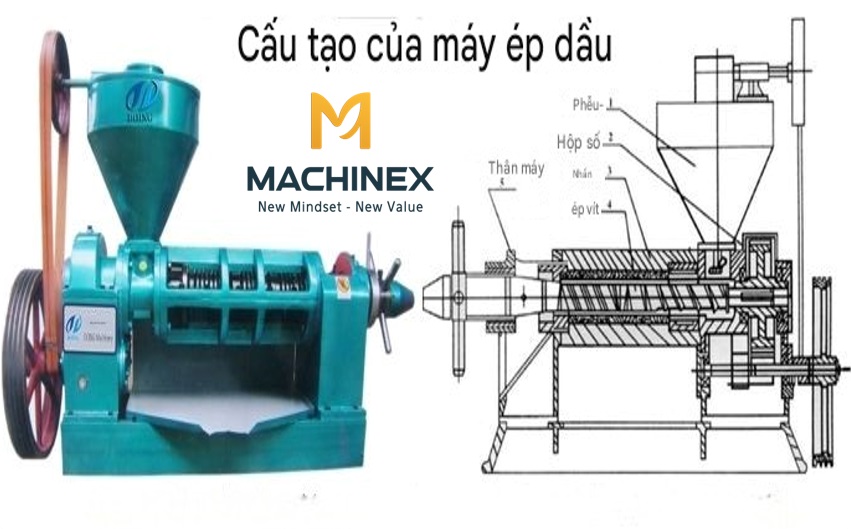Thiết bị ép dầu dừa hiện đại