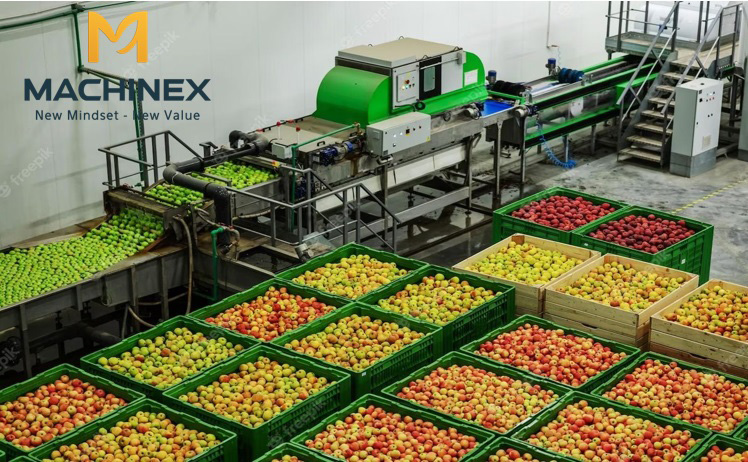 máy rửa trái cây