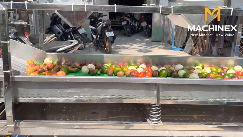 Máy rửa thực phẩm công nghiệp