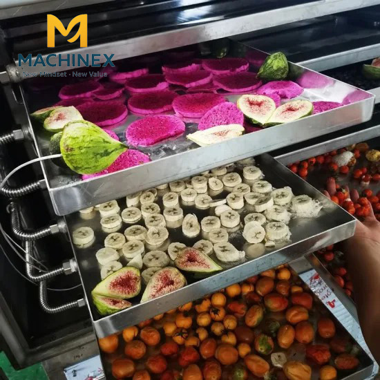máy sấy lạnh hoa quả 50kg 60kg