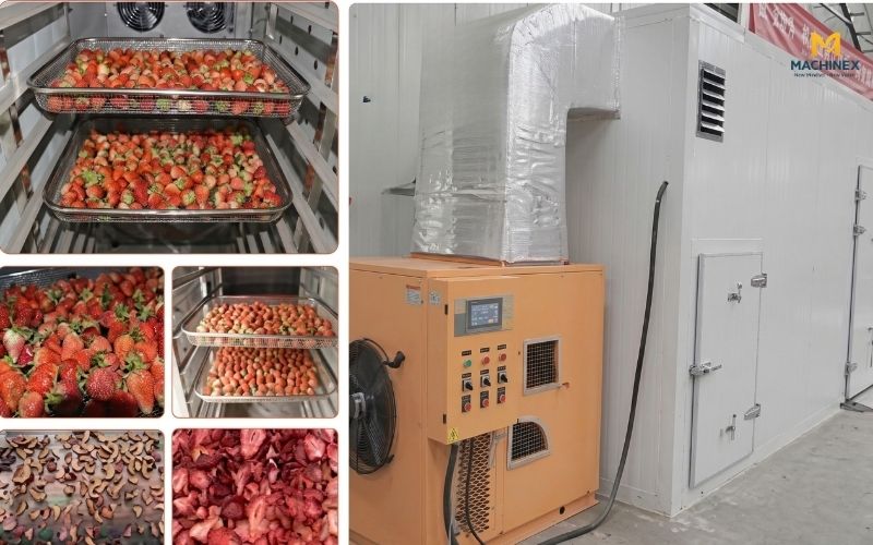 Tổng quan về máy sấy bơm nhiệt nông sản Aobote
