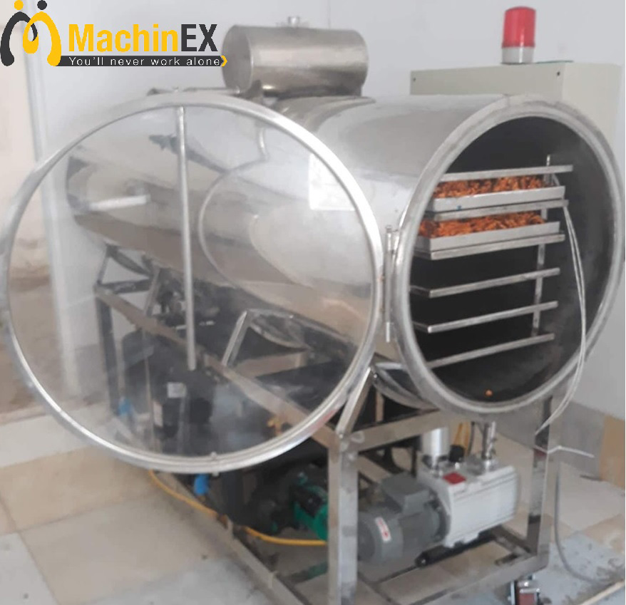 máy sấy thăng hoa 20kg