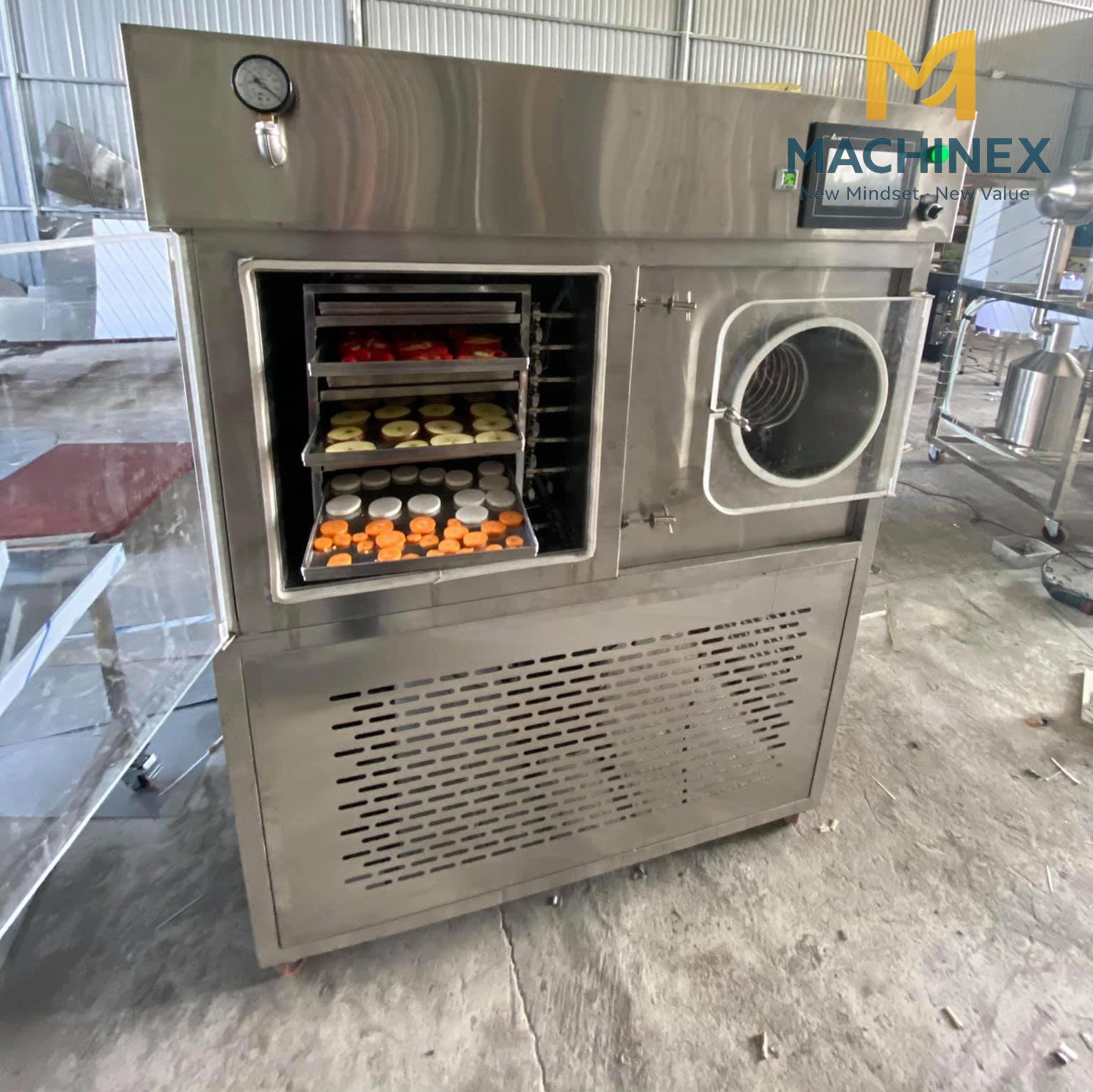 máy sấy thăng hoa machinex 50kg