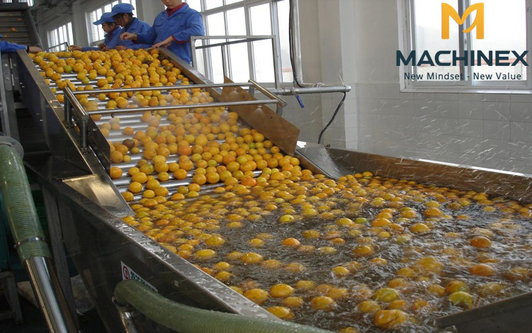 máy rửa trái cây