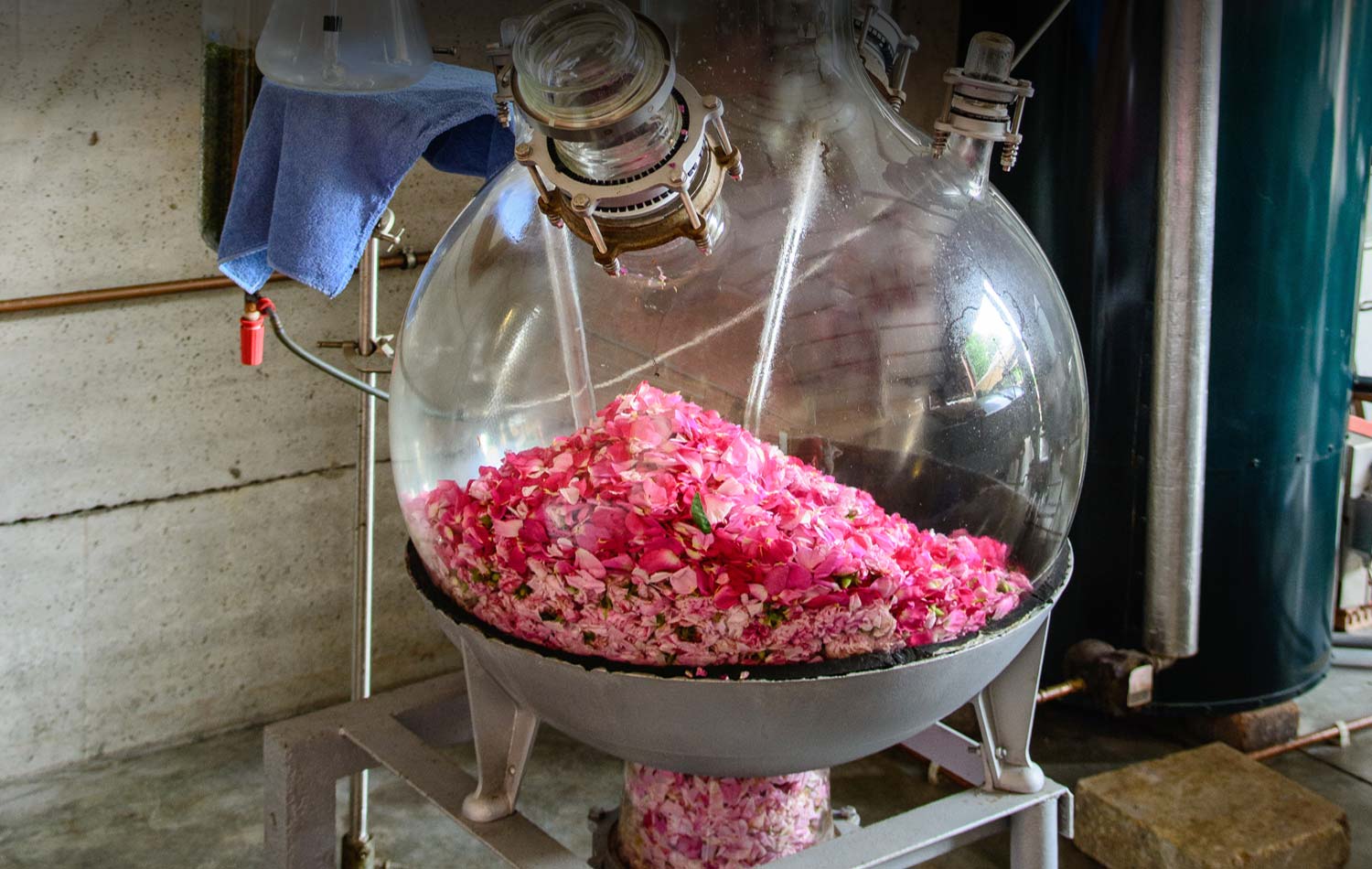 nguyên lý chưng cất tinh dầu iran