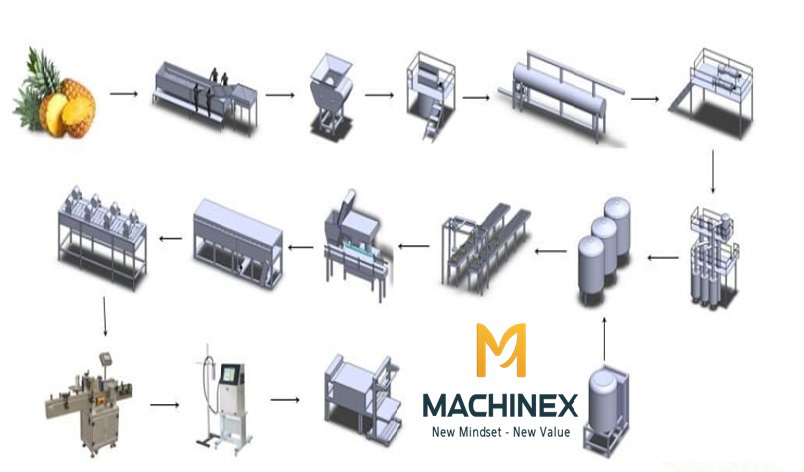 nguyên lý sơ chế, phân loại trái cây
