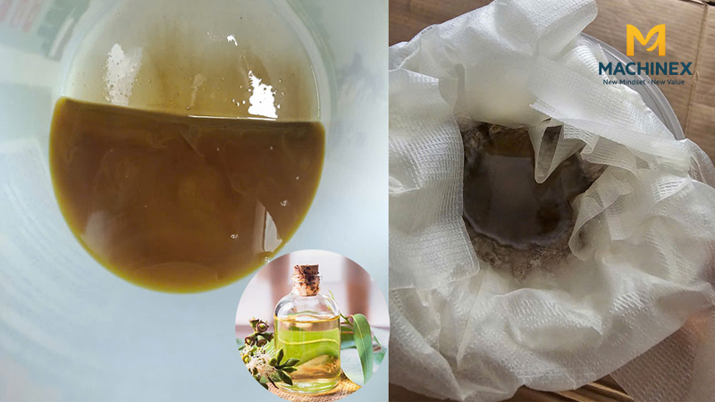 Nguyên nhân khiến tinh dầu hồ tiêu bị đục sau chưng cất là gì?