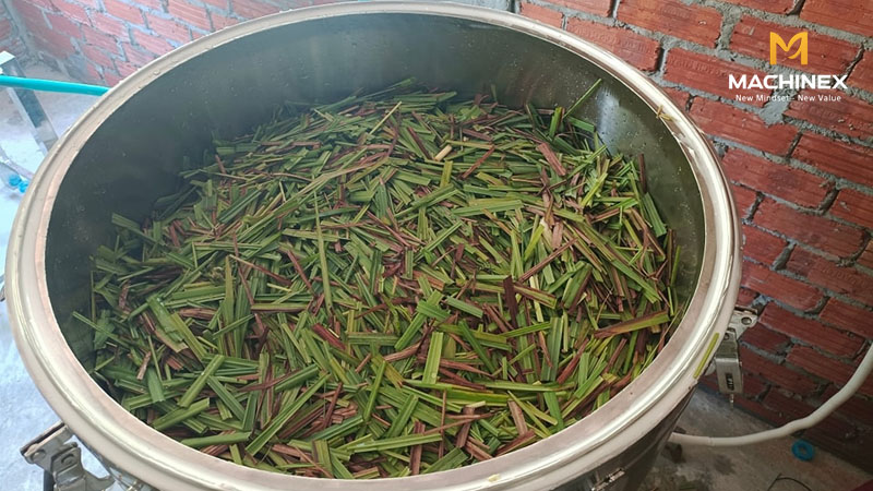 Quy trình chưng cất tinh dầu sả