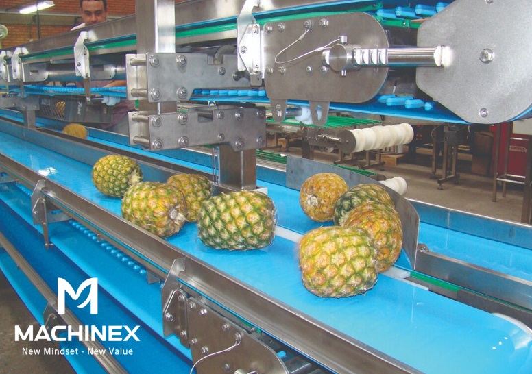 Dây chuyền sản xuất nước ép dứa