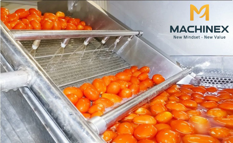 máy rửa trái cây công nghiệp