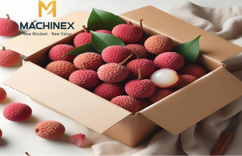 Công nghệ đóng gói vải thiều