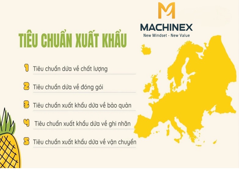 Dứa đạt chuẩn an toàn thực phẩm