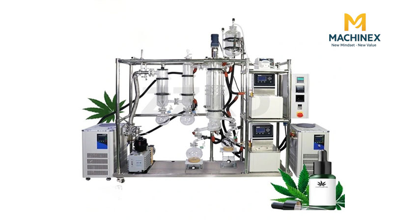 Tinh dầu sả nguyên chất của Machinex không bị vẩn đục dù để lâu