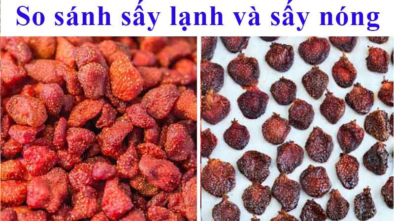 Trái cây sấy lạnh giữ bao nhiêu vitamin so với trái cây tươi?