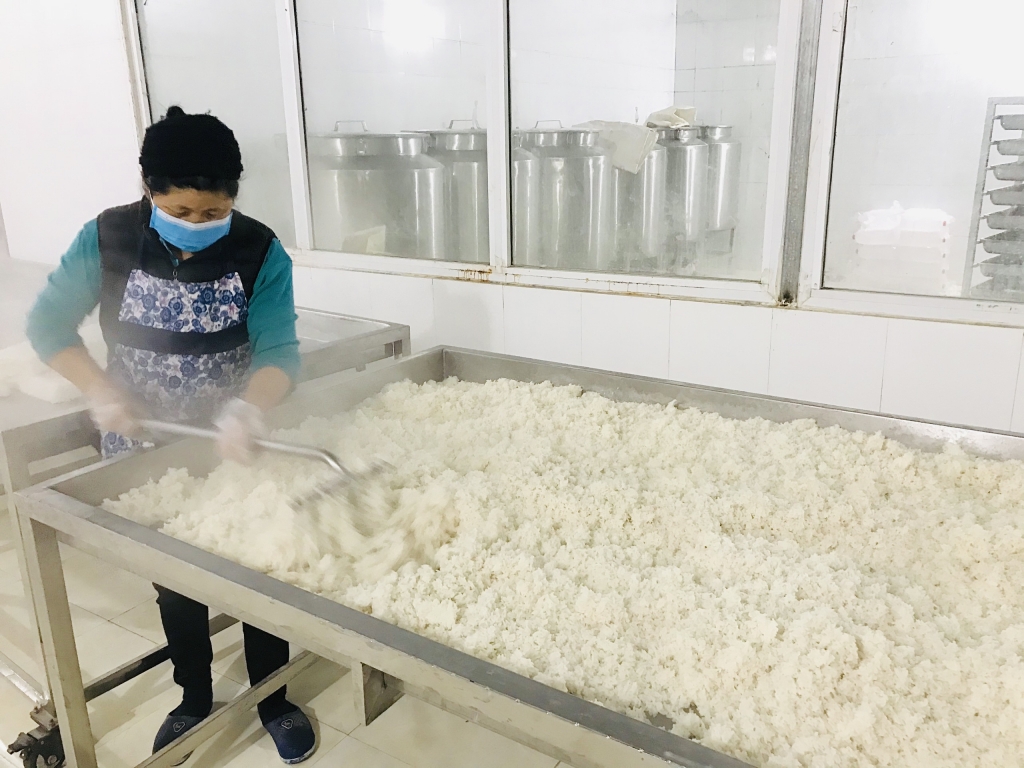 trộn men rượu công nghiệp
