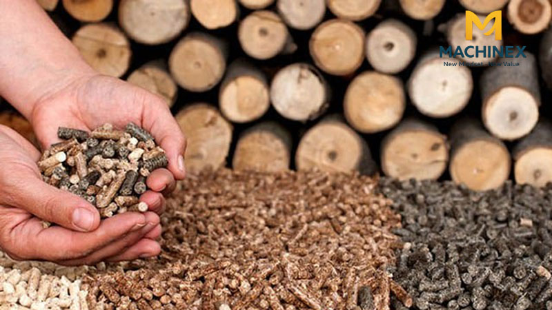Vì sao không nên ép viên nén gỗ từ mùn cưa chưa sấy?