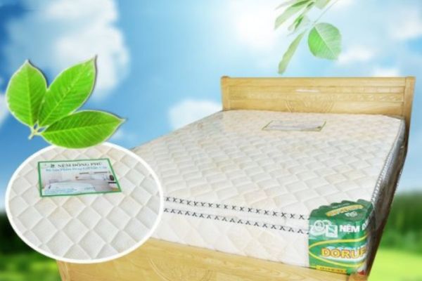 Nệm cao su Đồng Phú hỗ trợ giấc ngủ tự nhiên, nâng niu cơ thể toàn diện
