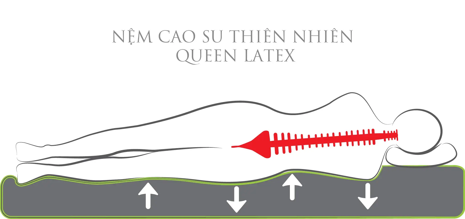 Nệm cao su thiên nhiên Vạn Thành - UNIQUE PLUS