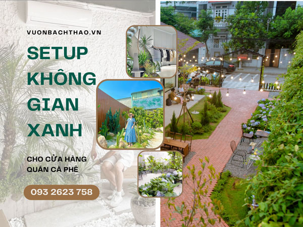 Decor không gian xanh cho cửa hàng, quán cà phê