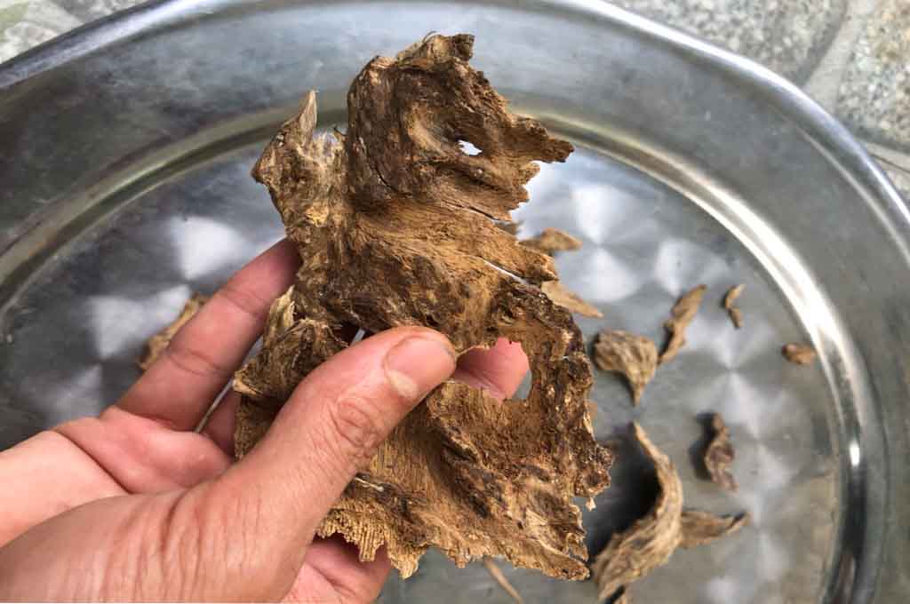 Premium Agarwood Chips