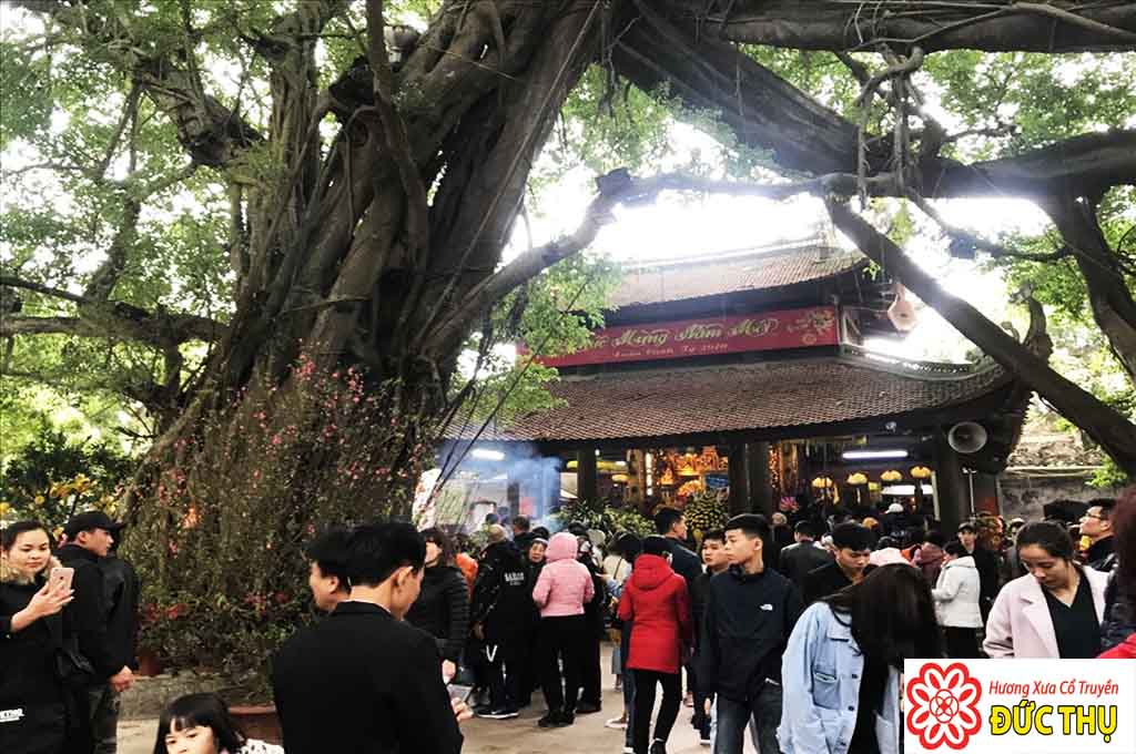 Ngôi Đền Thờ Mẫu Hưng Yên