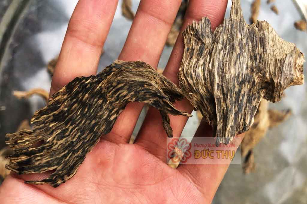 Nén Nhang Trầm Hương