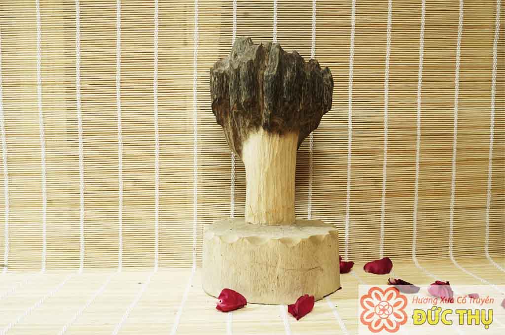 Tìm Hiểu Về Trầm Hương