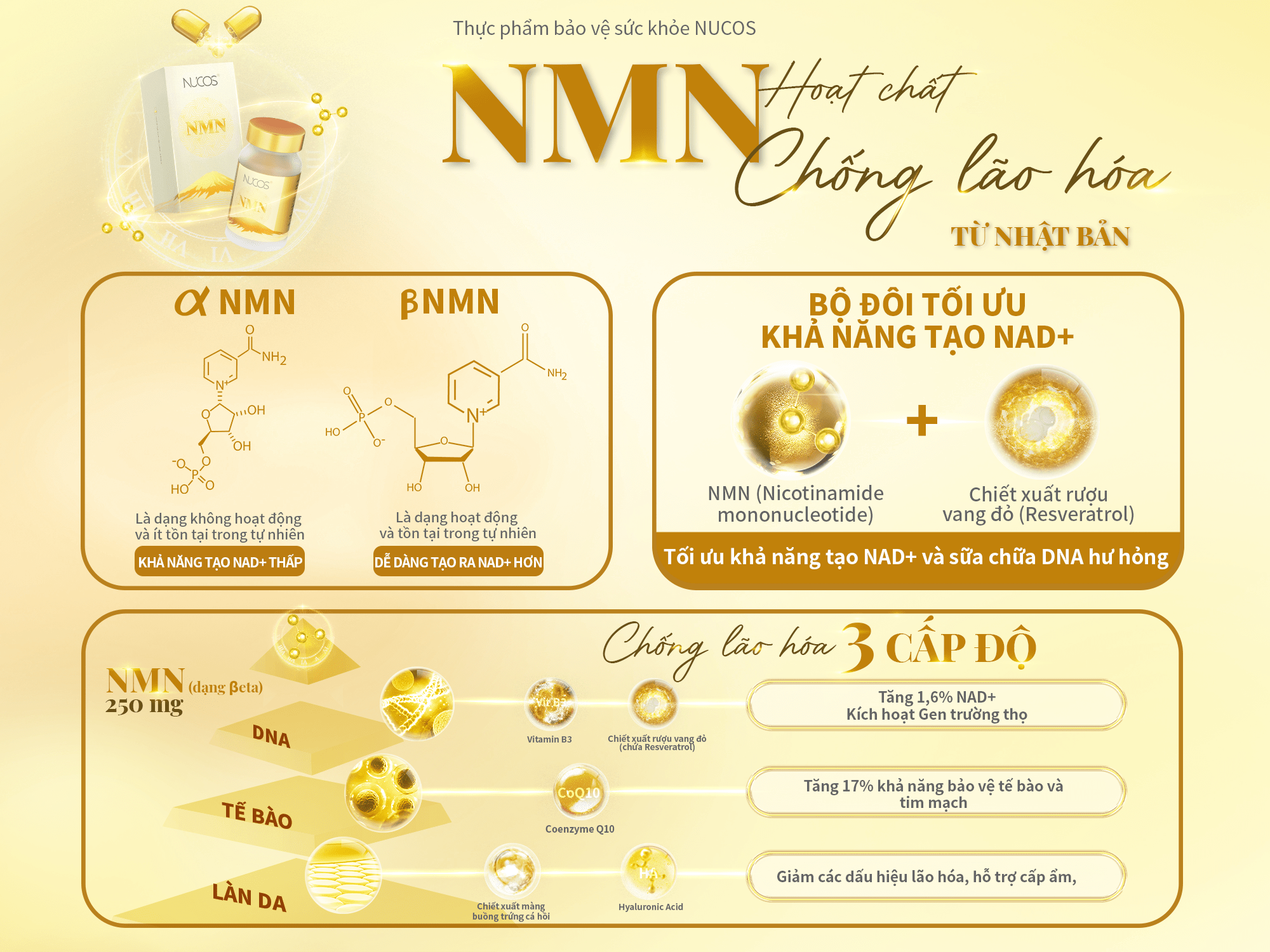 Nucos NMN được thiết kế với công thức chuẩn hàm lượng NMN 250 mg/ ngày cho 2 viên