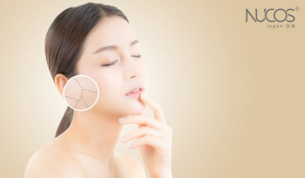 Vitamin E sẽ giúp cơ thể chống lại lão hóa và giảm các nhược điểm trên da hiệu quả