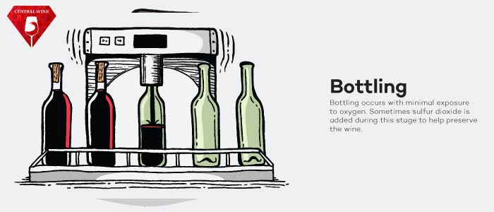 Đóng chai và dán nhãn rượu