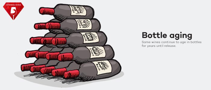 Ngâm ủ rượu trong chai, bước ngâm ủ cuối cùng trước khi xuất bán.