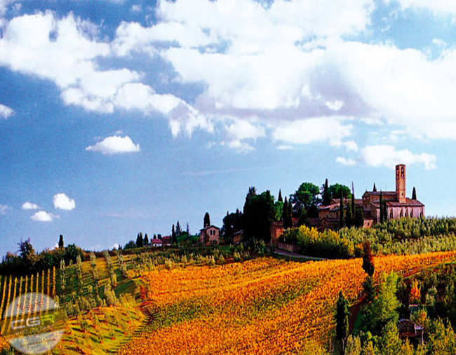 chianti-classico-castello-dalbola-tuscany